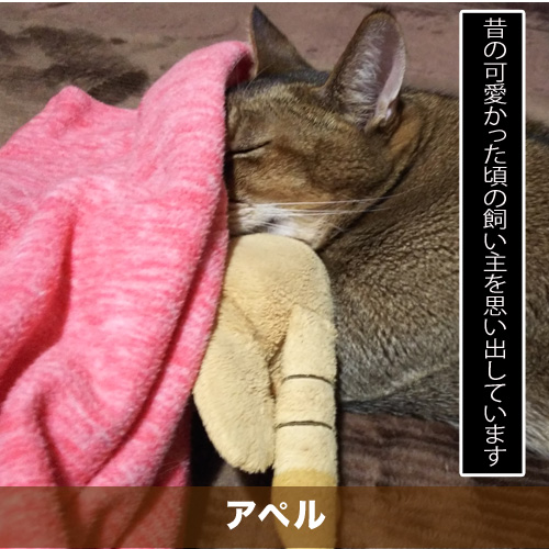 20210325_touko.jpg